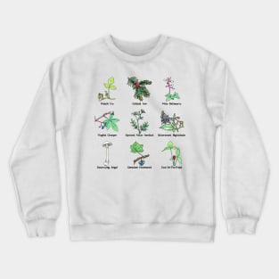 Posions Identification Crewneck Sweatshirt